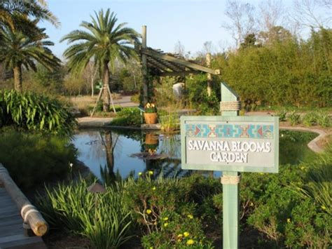 De Jacksonville Zoo & Gardens: Een Oase Van Biodiversiteit En Avontuurlijke Ontdekkingen!